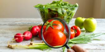 Addressing SPS Issues for Food and Agricultural Export Growth